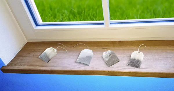 Wie hält man mit Teebeuteln Schädlinge von zu Hause fern?
