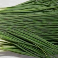 Wie kann man Frühlingszwiebeln für Salate, Kuchen usw. (für den Winter) einfrieren?!