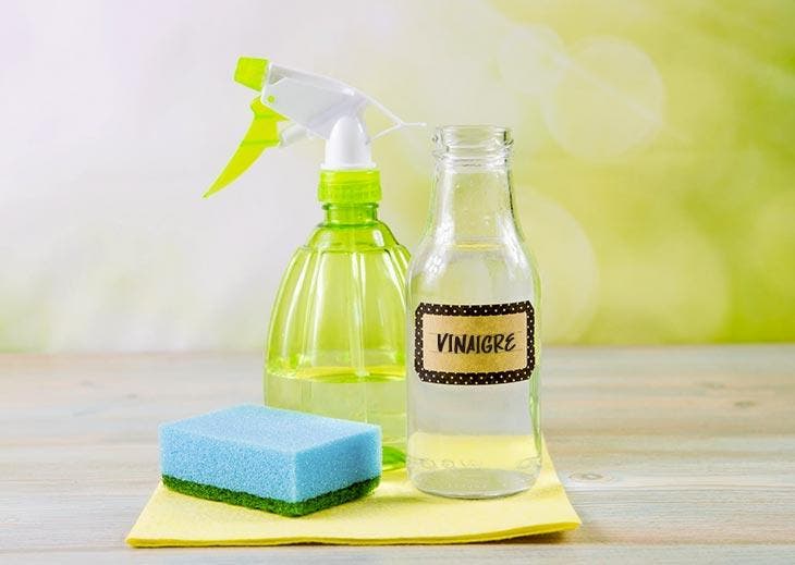 Wie kann man mit selbstgemachten Tipps schlechte Gerüche aus dem Müll entfernen? 4 Flasche Essig, Sprühgerät und Schwamm