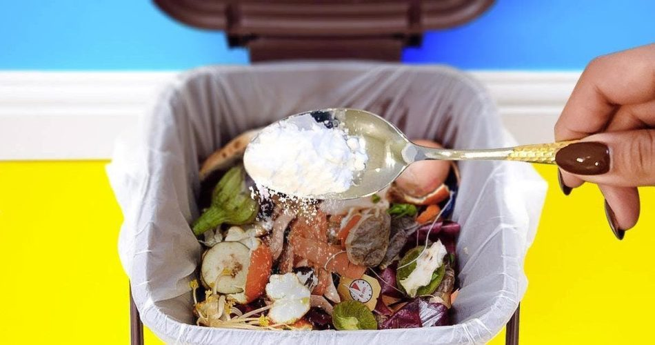 Wie kann man mit selbstgemachten Tipps schlechte Gerüche aus dem Müll entfernen?