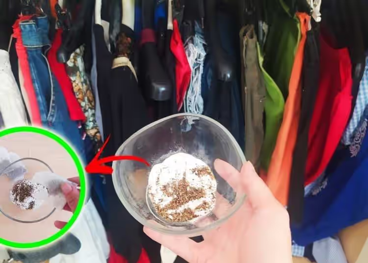 Wie kann man mit zwei natürlichen Tipps die Luftfeuchtigkeit zu Hause beseitigen und sie parfümieren?