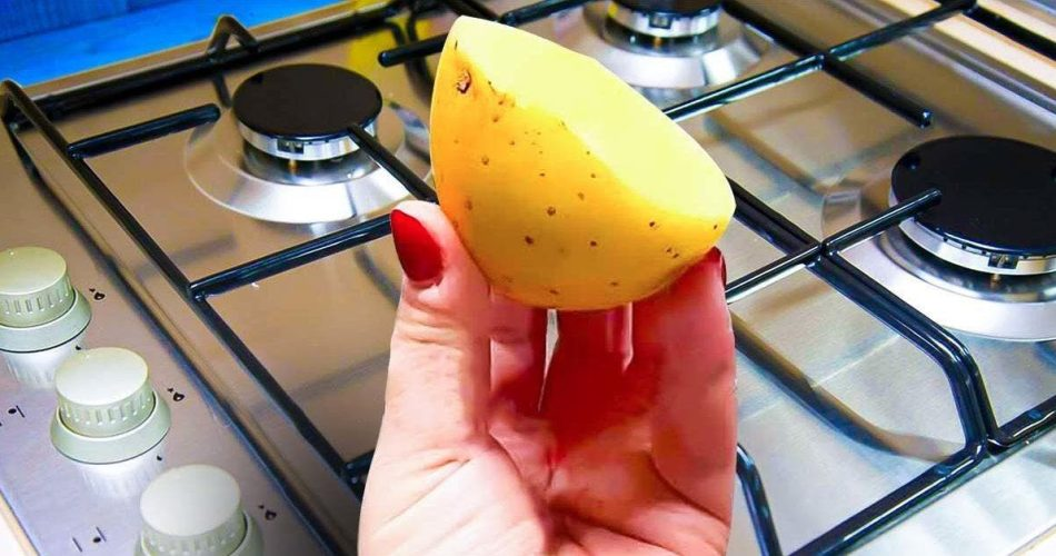 Wie kann man schlechte Küchengerüche loswerden? Tipps und Tricks