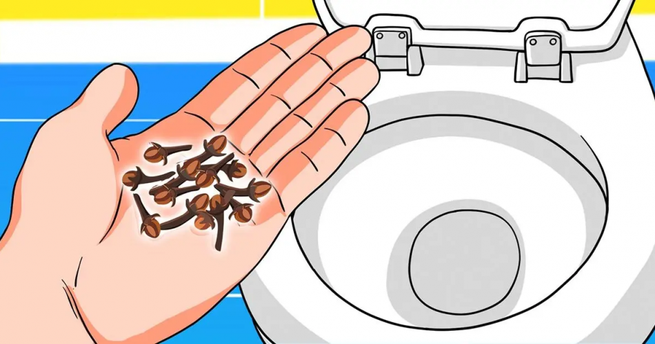 Wie kann man schlechte Toilettengerüche mit Nelken beseitigen?