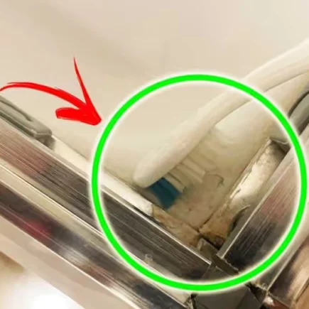 Wie kann man von Schimmel befallene Duschwände und Badezimmer tünchen?