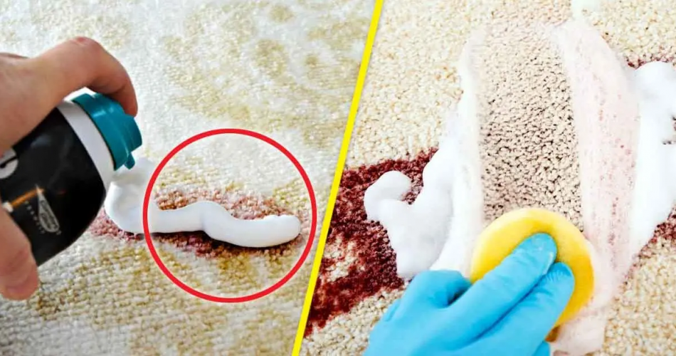 Wie lässt man einen Teppich neu und sauber aussehen? 3 einfache und effektive Tipps