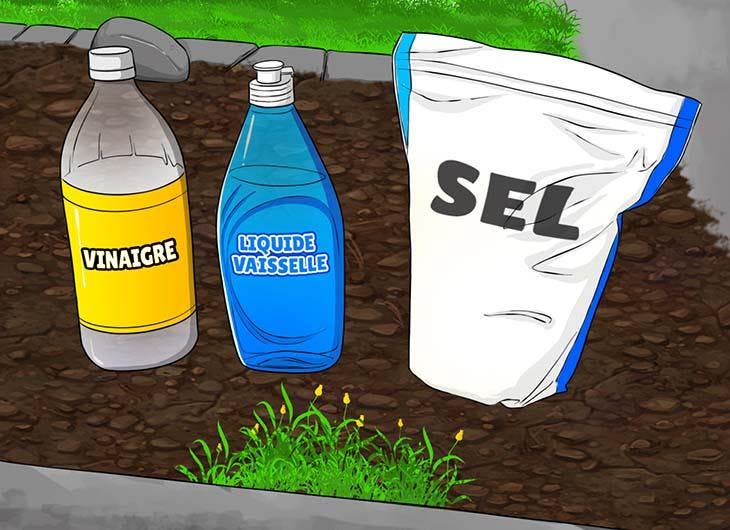 Weißweinessig, Spülmittel und abschließend Salz
