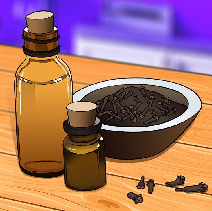 Abschließendes ätherisches Nelkenöl