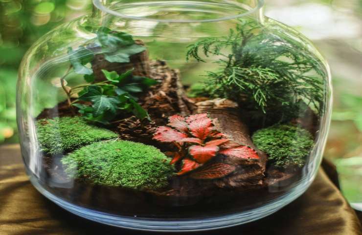 So recyceln Sie Gläser