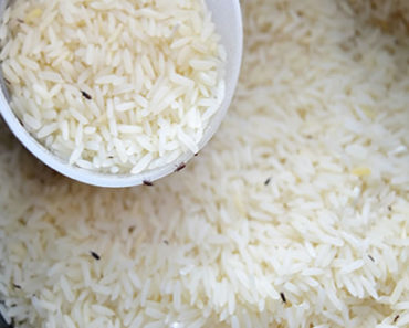 Wie man Rüsselkäfer ein für alle Mal loswird