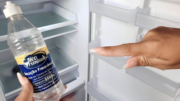 Wie man den Fäulnisgeruch aus dem Kühlschrank beseitigt, ist hier das einzig wirksame Mittel