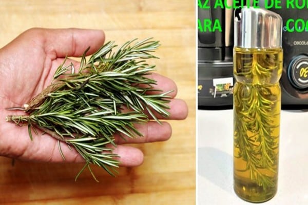 Wie man selbstgemachtes Rosmarinöl zum Kochen herstellt