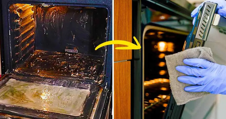 Wie reinige ich den Backofen gründlich, um hartnäckigen Schmutz zu entfernen? 3 einfache und effektive Tipps