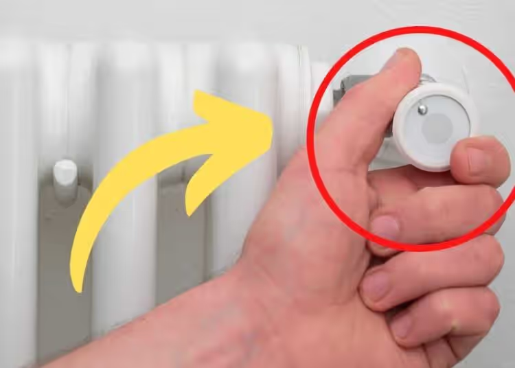 Wie reinige ich meine Heizkörper, bevor ich sie einschalte? Unterschätzen Sie diesen wichtigen Schritt nicht!
