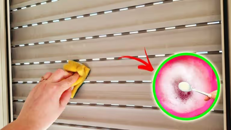 Wie reinigt man Fensterläden mit 4 + 1 natürlichen Tipps?