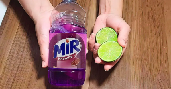 Wie reinigt man Geschirr mit Zitrone und Spülmittel?