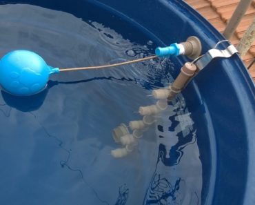 Wie reinigt man den Wassertank und was passiert, wenn man das nicht tut?