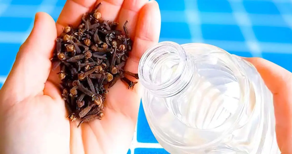 Wie stellt man ein Insektenschutzmittel her, um Mücken und Kakerlaken abzuwehren?