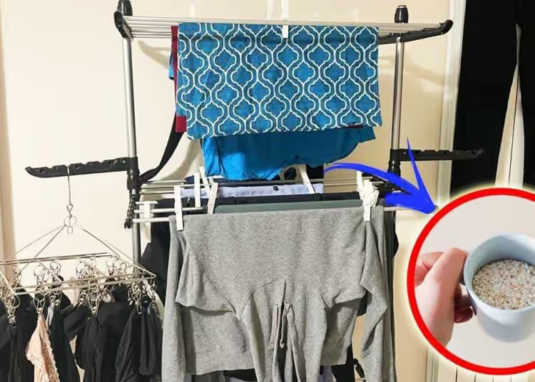 Wie trockne ich meine Kleidung zu Hause richtig mit einem einfachen hausgemachten Tipp?