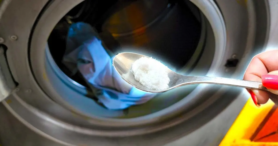 Wie verhindert man, dass Kleidung nach dem Waschen schlecht riecht?