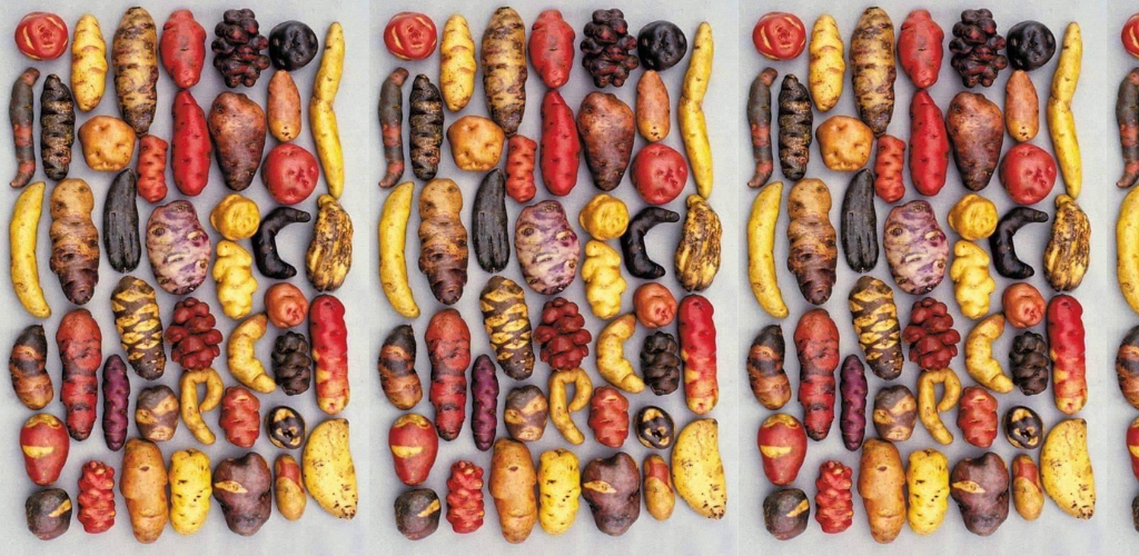 Wie viele Kartoffelsorten gibt es?
