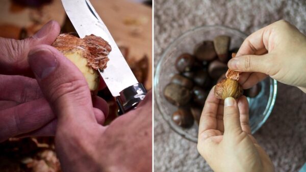 Wissen Sie, wie Kastanien geschält werden? Auf diese Weise werden Sie sehr wenig Zeit in Anspruch nehmen