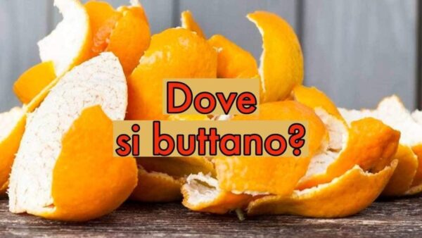 Wo wirft man Orangenschalen hin? Pass auf, dass du nicht verwirrt wirst: Sie werden mit einer Geldstrafe von 400 € belegt