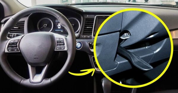 Wozu dient der Hebel unter dem Lenkrad? Nur wenige Fahrer wissen es, aber es ist wichtig