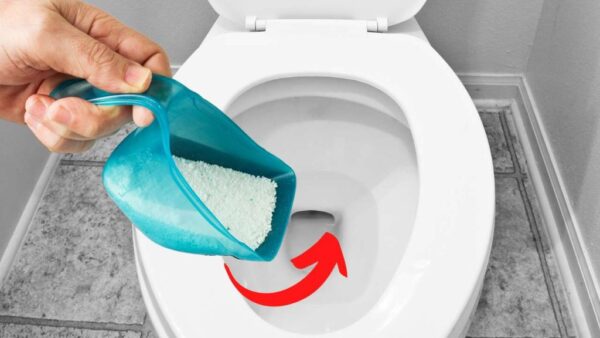 Wäschestaub, in die Toilette werfen – das Ergebnis, mit dem Sie nicht gerechnet haben