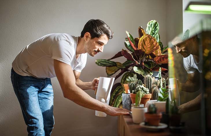 Zimmerpflanzen: 5 Tipps, wie man sie diesen Winter pflegt, damit sie nicht sterben 2 Bewässerung