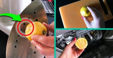 Zitrone und Salz und alles, was Sie brauchen, um schlechte Gerüche aus Küche und Zuhause zu beseitigen