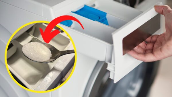 Zucker in die Waschmaschine, einen Löffel hineingeben: Was mit der Kleidung passiert, ist überraschend