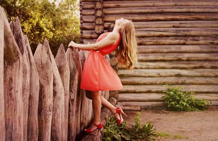 Die besten Ideen für Zäune