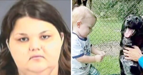 Abusive Babysitter Thought She Could Get Away With It, But The Dog Was Onto Her