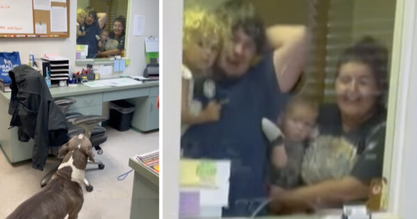 After 10 Months, This Family Sees Their Dog Again And We’re All Crying