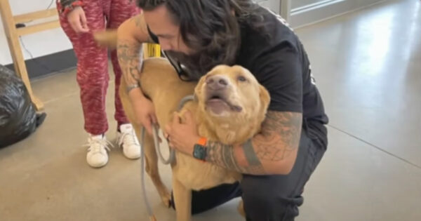 After 4 Long Years, Veteran Reunites With The Dog He Thought He’d Never See Again