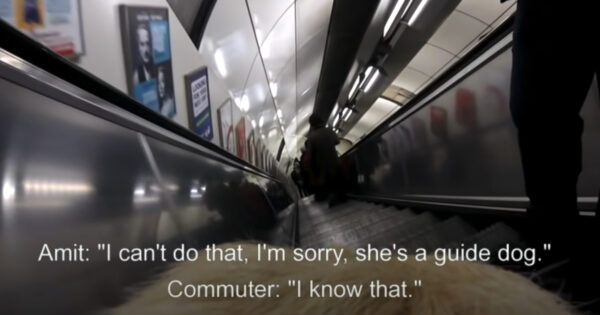 Angry Commuter Confronts Blind Man Relying On His Guide Dog To Get Around