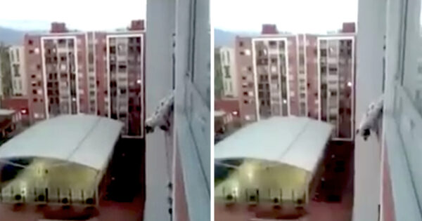 As A Dog Dangles From The 13th Floor, They Position Mattresses Below