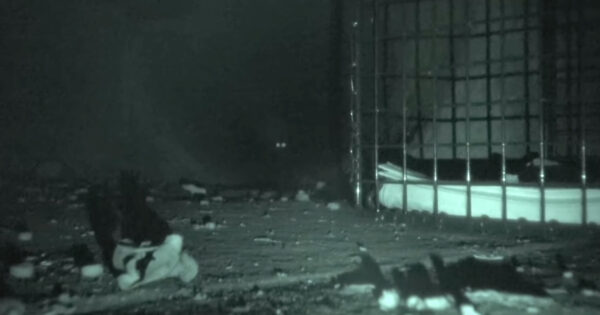 Being Stuck Underground Was No Place To Be For The Holidays