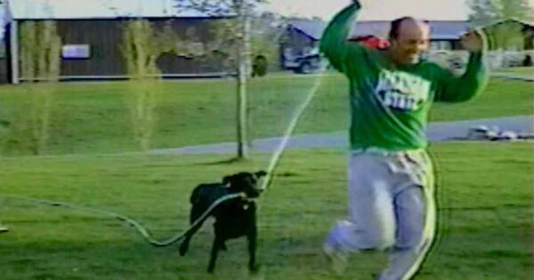 Black Lab Wrestles The Hose Away And Turns It On His Owner