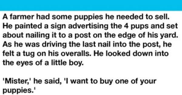 Boy Picks Out The Crippled Puppy Of The Litter To Buy From The Farmer