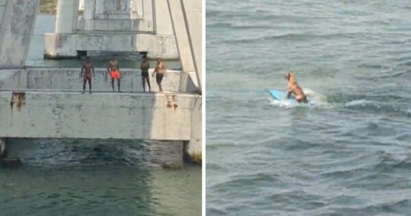 Bystanders Are Taking In The View When A Dog Comes Surfing On By