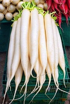 Radish, Root, Vegetables, Market, Food