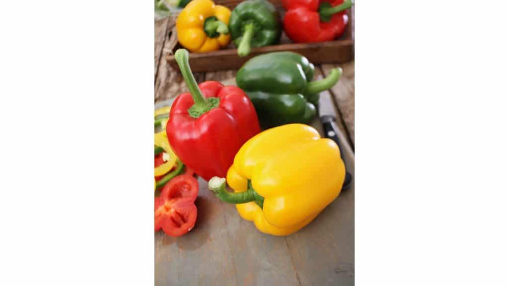 can cats eat bell peppers