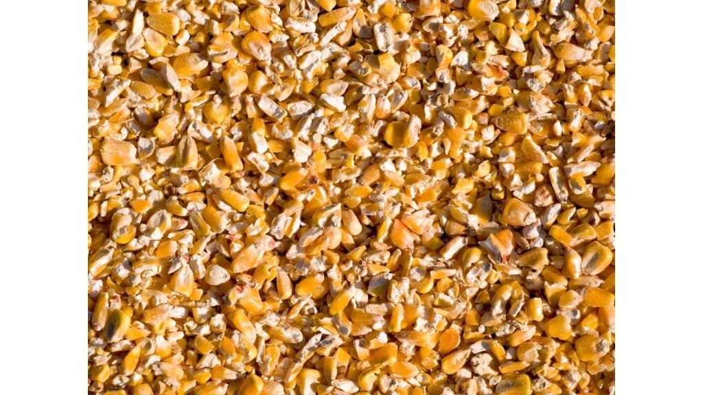 cracked corn
