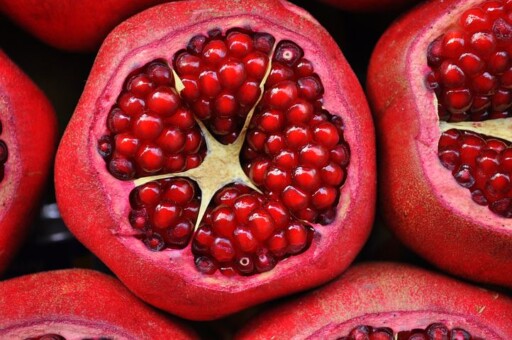 Can dogs eat pomegranate