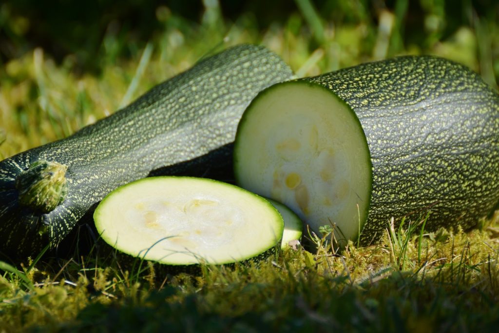 Zucchini half cut