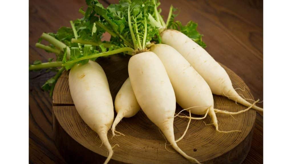 Can Guinea Pigs Eat Radishes