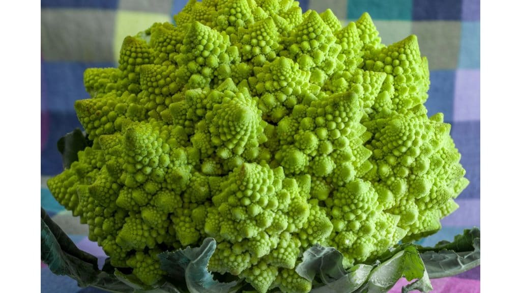 Romanesco cauliflower