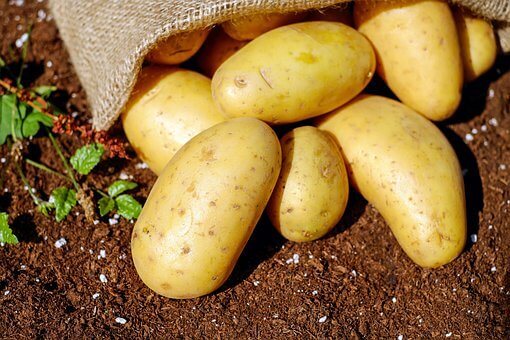 Potatoes, Vegetables, Tuber
