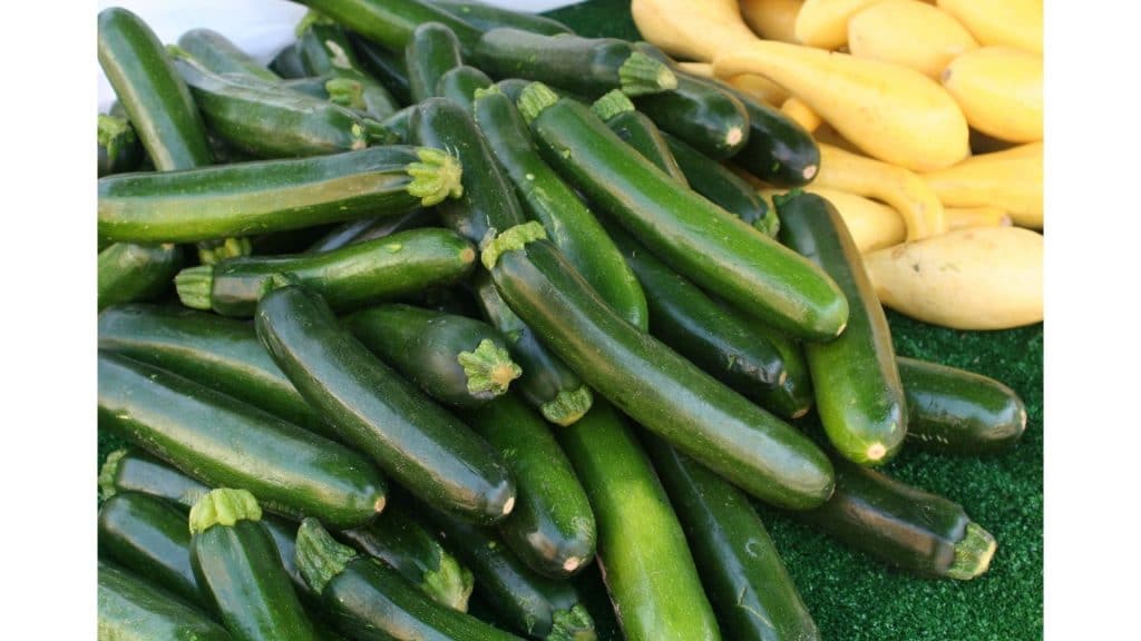 fresh zucchini